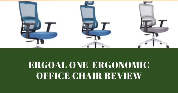 Ergoal One Ergonomic Office Chair Review